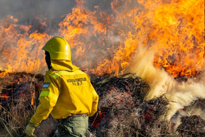 Incendios forestales Chaco est afectado Diario La Voz del Chaco