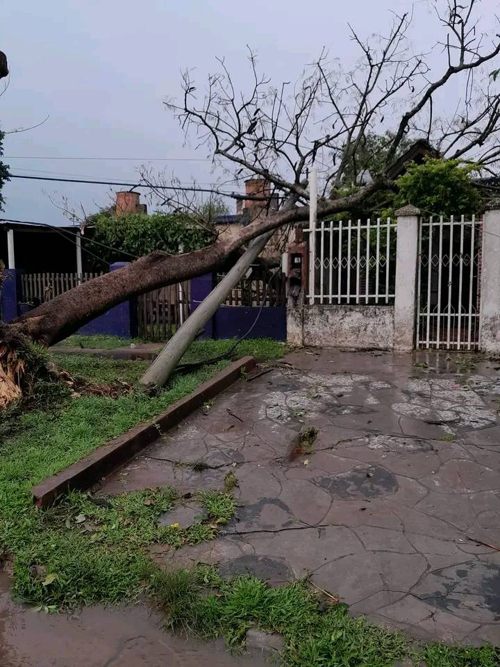 Los da os en La Leonesa tras el granizo 17 fotos del despu s