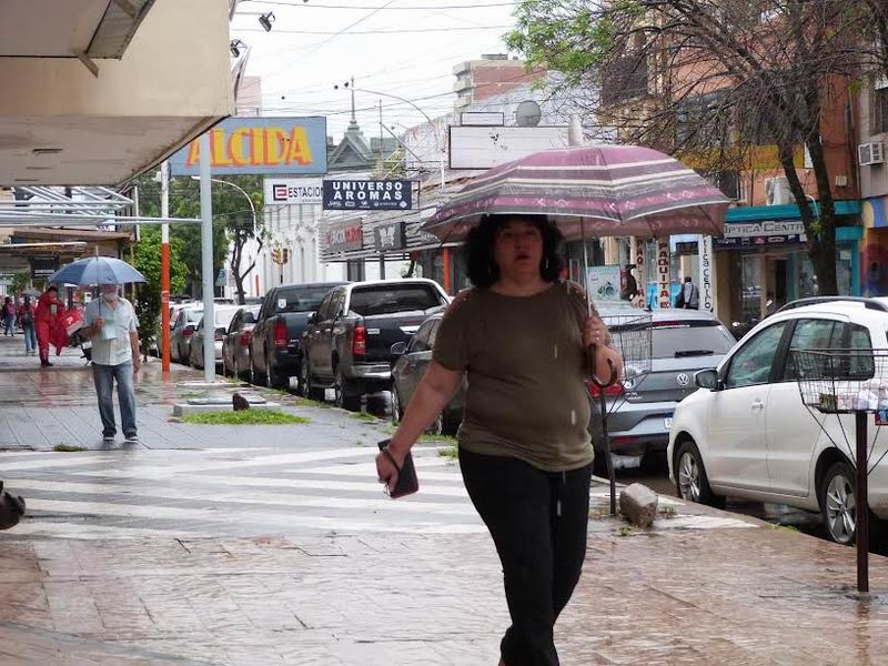 Las lluvias dejaron buenos registros en gran parte del Chaco